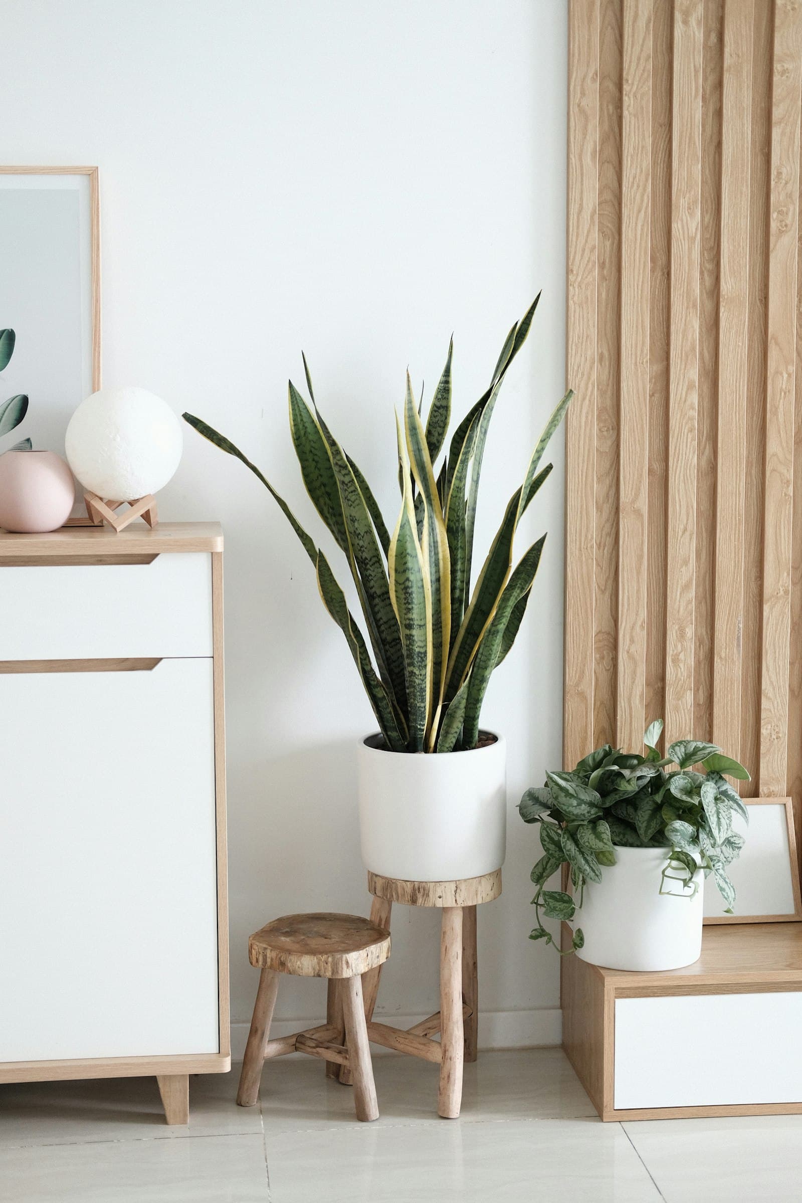 Planters