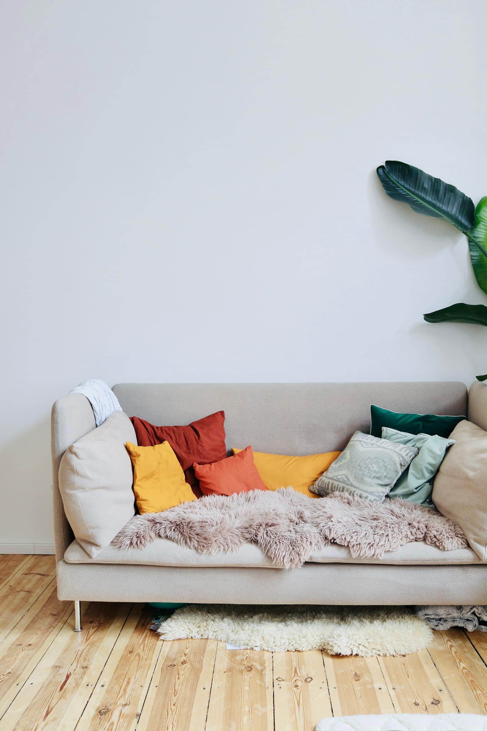 Sofa Cushions